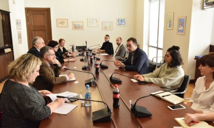 Meeting with the Chairman of the Committee on European Integration – Davit Songhulashvili