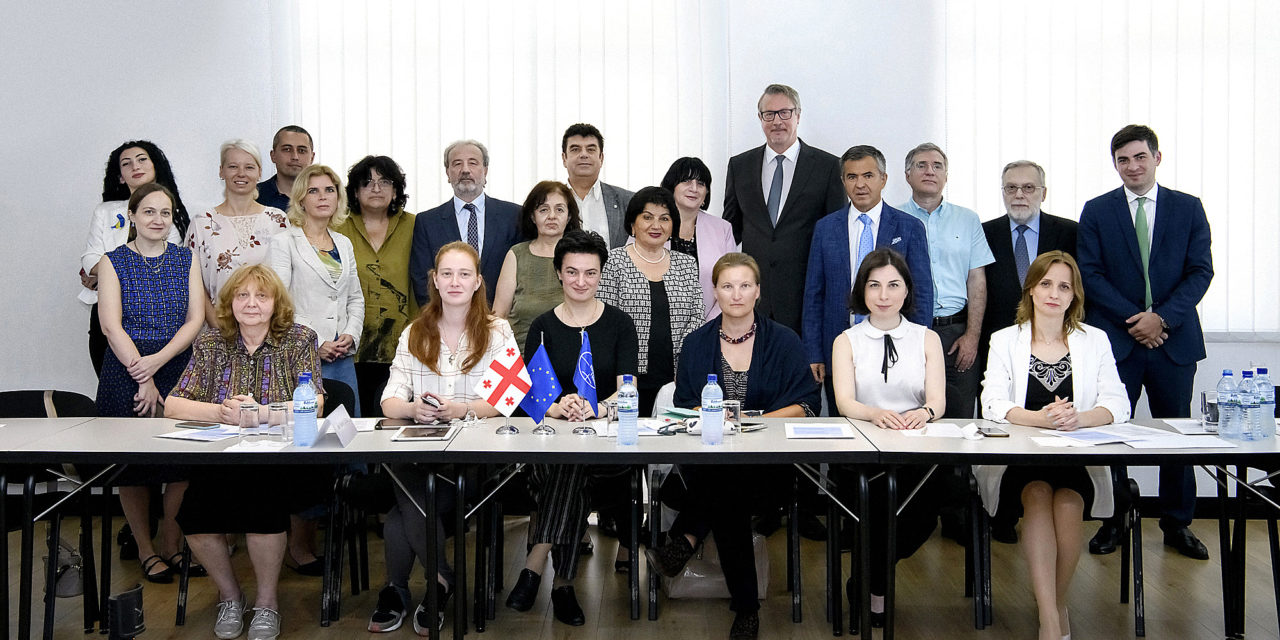 9th meeting of the EU- Georgia Civil Society Platform