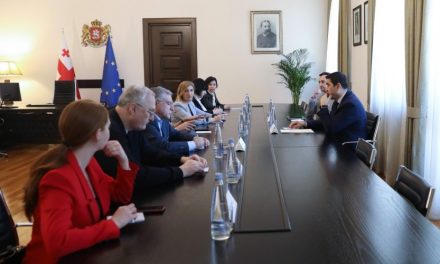 Meeting with the Chairman of the Parliament of Georgia
