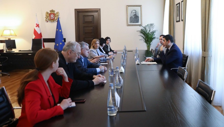 Meeting with the Chairman of the Parliament of Georgia