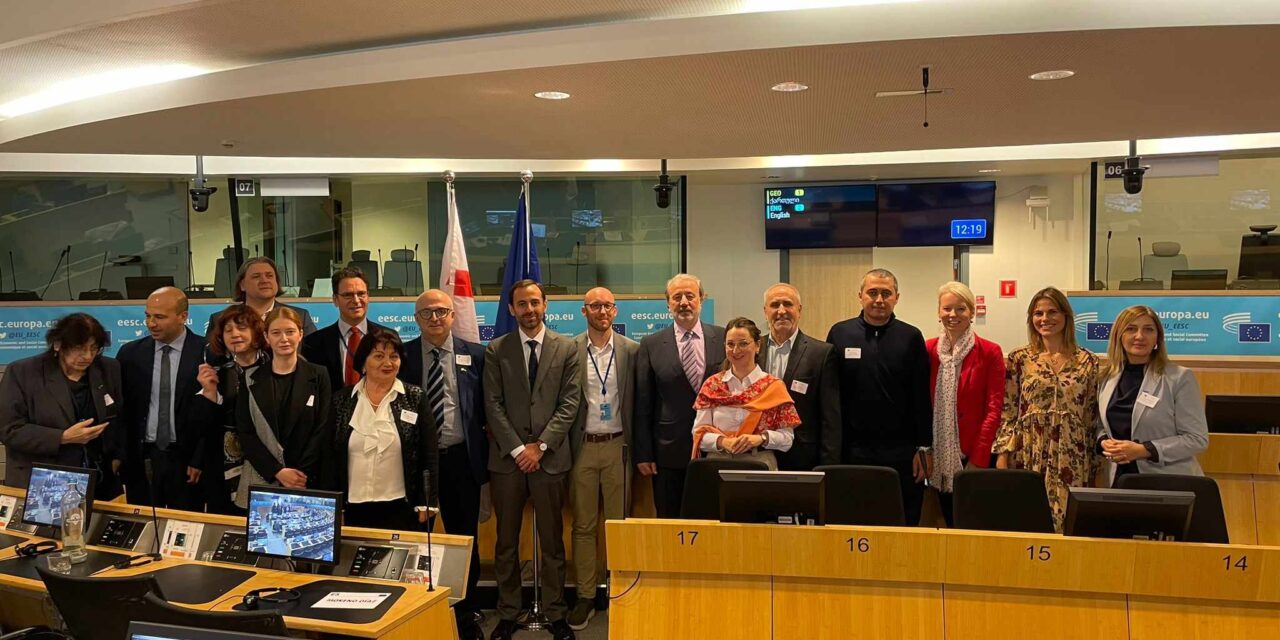 12th Meeting of EU-Georgia Civil Society Platform