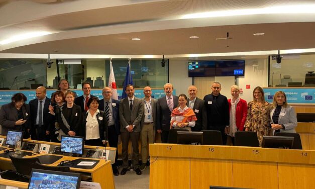 12th Meeting of EU-Georgia Civil Society Platform